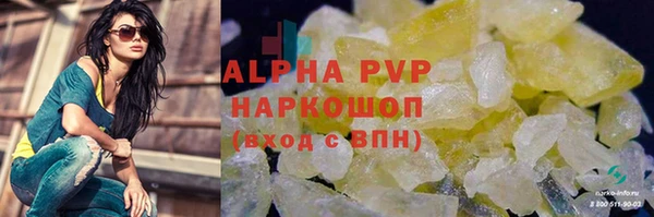 стаф Арсеньев