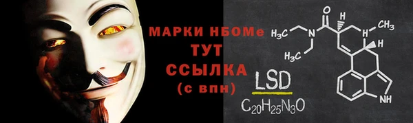 стаф Арсеньев