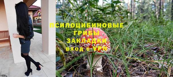 амф Алексин