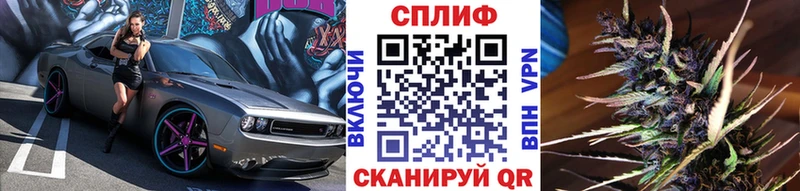 Канабис Ganja  Циолковский 
